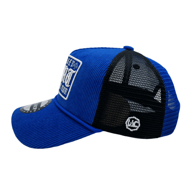 A blue and black hat with the words " detroit lions " on it.