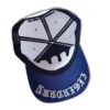 A blue and white hat with a black design on it